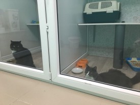 w7RIIV9qR8g.jpg (97.8 КБ, Просмотров: 3732) w7RIIV9qR8g.jpg