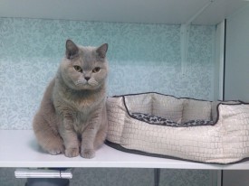 t2XWugUtAq8.jpg (133.94 КБ, Просмотров: 3732) t2XWugUtAq8.jpg