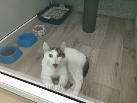 nUuFoPKN2qI.jpg (117.25 КБ, Просмотров: 3586) nUuFoPKN2qI.jpg