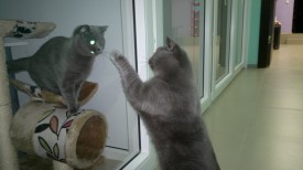 3mFZbxfOsDk.jpg (113.44 КБ, Просмотров: 3579) 3mFZbxfOsDk.jpg