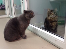 KsjMyfPX7kA.jpg (106.87 КБ, Просмотров: 3460) KsjMyfPX7kA.jpg