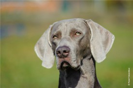 41f8f08eb506.jpg (32.61 КБ, Просмотров: 1663) 41f8f08eb506.jpg