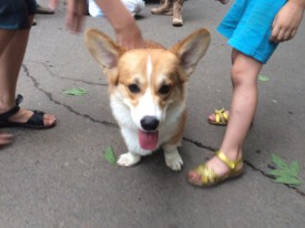 image (11).jpg (222.01 КБ, Просмотров: 1707) image (11).jpg