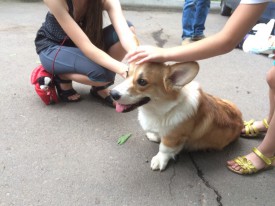 image (12).jpg (277.85 КБ, Просмотров: 1707) image (12).jpg