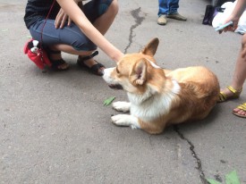 image (14).jpg (372.12 КБ, Просмотров: 1707) image (14).jpg