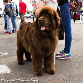 99b284b4b379313c9179183cb58c5496.jpg (279.83 КБ, Просмотров: 1237) 99b284b4b379313c9179183cb58c5496.jpg