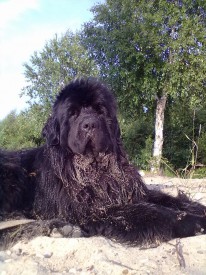 Михеюшка.jpg (271.48 КБ, Просмотров: 1281) Михеюшка.jpg