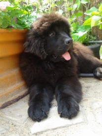 IVnKDrocKbA.jpg (78.47 КБ, Просмотров: 1281) IVnKDrocKbA.jpg