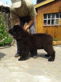 JcjuXn-OQGA.jpg (72.76 КБ, Просмотров: 1281) JcjuXn-OQGA.jpg