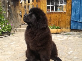 PcGsFZODcb4.jpg (82.04 КБ, Просмотров: 1281) PcGsFZODcb4.jpg