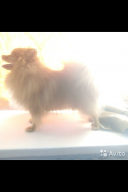 image.png (459.39 КБ, Просмотров: 2055) image.png