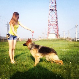 image.jpeg (199.21 КБ, Просмотров: 2055) image.jpeg