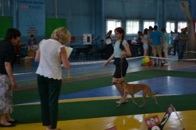 0.02.01.9cf3045865fd0f3ebf9f643eb2a0345b786b128315106181089cbbb081ddb8c5_full.0.jpg (89.21 КБ, Просмотров: 10127) 0.02.01.9cf3045865fd0f3ebf9f643eb2a0345b786b128315106181089cbbb081ddb8c5_full.0.jpg