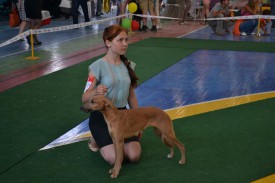 0.02.01.673c0520ccd48a1d88292bdae96ddf2c0f446028f831742ad80628f7d813ac36_full.0.jpg (106.78 КБ, Просмотров: 10127) 0.02.01.673c0520ccd48a1d88292bdae96ddf2c0f446028f831742ad80628f7d813ac36_full.0.jpg