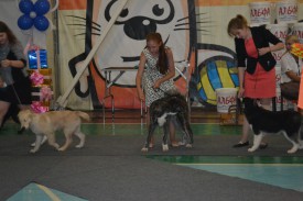 0-02-01-0d93fc84bce80ef81f6184cd56f997d5230a17b37b5704f7e798479549aa47a2_full.jpg (114.38 КБ, Просмотров: 10522) 0-02-01-0d93fc84bce80ef81f6184cd56f997d5230a17b37b5704f7e798479549aa47a2_full.jpg