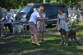 0-02-01-6f79f8f87fb75baa03124af84d2cd5e53bc5d090df05c06cf6af7f2c2c3abfa1_full.jpg (208.98 КБ, Просмотров: 10522) 0-02-01-6f79f8f87fb75baa03124af84d2cd5e53bc5d090df05c06cf6af7f2c2c3abfa1_full.jpg