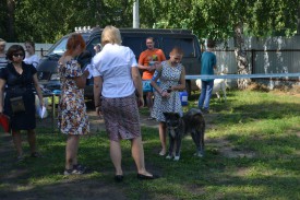 0-02-01-a13ae28f130469d50edf52cb4cc632cdb18e9f30c305bad3e3a43b66f1f33e3f_full.jpg (225.3 КБ, Просмотров: 10521) 0-02-01-a13ae28f130469d50edf52cb4cc632cdb18e9f30c305bad3e3a43b66f1f33e3f_full.jpg