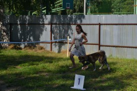 0-02-01-b6789f35514251ffd2ffceccb8f791fa0cc3aa355262572232e2380c01fed05f_full.jpg (183.24 КБ, Просмотров: 10125) 0-02-01-b6789f35514251ffd2ffceccb8f791fa0cc3aa355262572232e2380c01fed05f_full.jpg