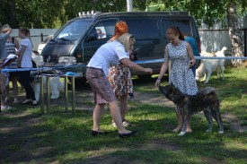 0-02-01-bded2b0a4b49c18417ceeb2bd47fbfca5bf73d697a72d56ca701d9819610c356_full.jpg (210.79 КБ, Просмотров: 11021) 0-02-01-bded2b0a4b49c18417ceeb2bd47fbfca5bf73d697a72d56ca701d9819610c356_full.jpg