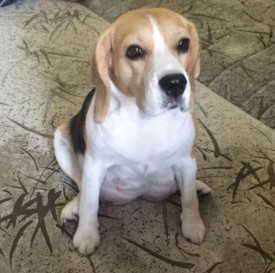 мать.jpg (68.8 КБ, Просмотров: 2416) мать.jpg