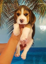 д.jpg (46.35 КБ, Просмотров: 2413) д.jpg