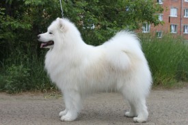 IMG_20160729_145715.jpg (133.15 КБ, Просмотров: 1584) IMG_20160729_145715.jpg