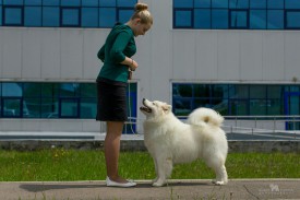 kNaKp7z0Jvk.jpg (169.79 КБ, Просмотров: 1584) kNaKp7z0Jvk.jpg