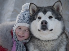 прогулки с маламутами135.JPG (119 КБ, Просмотров: 1318) прогулки с маламутами135.JPG