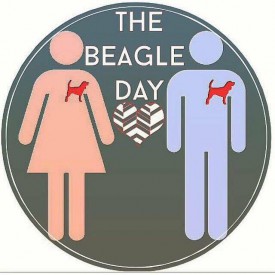 14269442_573453089524205_21186617_n.jpg (42.48 КБ, Просмотров: 11934) 14269442_573453089524205_21186617_n.jpg