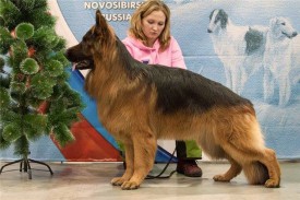 46f123bcb1e9.jpg (126.65 КБ, Просмотров: 1429) 46f123bcb1e9.jpg