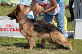 FaNZtzpI.jpg (343.13 КБ, Просмотров: 1429) FaNZtzpI.jpg