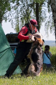 FaNZtzpJ.jpg (346.77 КБ, Просмотров: 1429) FaNZtzpJ.jpg