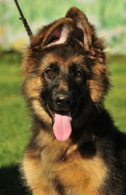 a71af901fdfd.jpg (93.74 КБ, Просмотров: 1429) a71af901fdfd.jpg