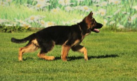 6889f96be05c.jpg (89.53 КБ, Просмотров: 1429) 6889f96be05c.jpg