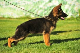 03cb3e97927a.jpg (115.69 КБ, Просмотров: 1429) 03cb3e97927a.jpg