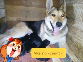 TMPDOODLE1473751326130.jpg (265.75 КБ, Просмотров: 1276) TMPDOODLE1473751326130.jpg