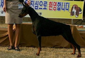 s075940210000000.jpg (81.48 КБ, Просмотров: 1463) s075940210000000.jpg