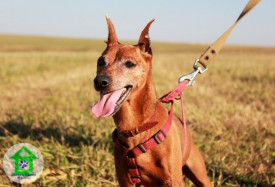 IMG_8772.jpg (128.65 КБ, Просмотров: 2248) IMG_8772.jpg