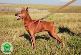 IMG_8774.jpg (41.97 КБ, Просмотров: 2248) IMG_8774.jpg