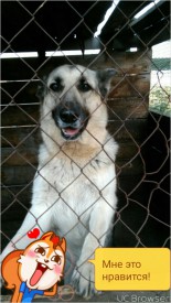 TMPDOODLE1475164518518.jpg (291.62 КБ, Просмотров: 1216) TMPDOODLE1475164518518.jpg