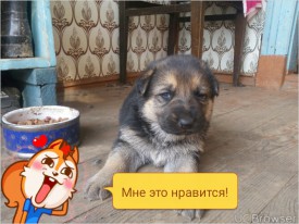 TMPDOODLE1475164603674.jpg (303.77 КБ, Просмотров: 1216) TMPDOODLE1475164603674.jpg