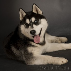 information_items_185.jpg (61.52 КБ, Просмотров: 3872) information_items_185.jpg