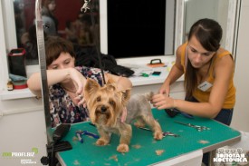 z9pkQ5wgFJM.jpg (170.09 КБ, Просмотров: 3419) z9pkQ5wgFJM.jpg