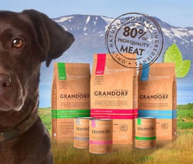 GOw7Jf0PCpY.jpg (90.97 КБ, Просмотров: 4745) GOw7Jf0PCpY.jpg