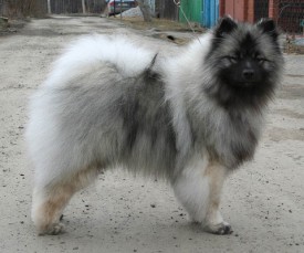 2.jpeg (54.99 КБ, Просмотров: 1866) 2.jpeg
