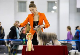 10734270_758931717518859_4628389805726779467_n.jpg (46.42 КБ, Просмотров: 13456) 10734270_758931717518859_4628389805726779467_n.jpg