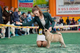 WvBMhgXsJ78.jpg (210.79 КБ, Просмотров: 14162) WvBMhgXsJ78.jpg