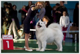 24.jpg (187.13 КБ, Просмотров: 13731) 24.jpg