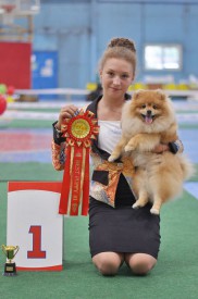 13590511_1136305763095970_2638984195253443150_n.jpg (79.78 КБ, Просмотров: 13947) 13590511_1136305763095970_2638984195253443150_n.jpg