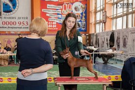 14632802_10211434632807950_3867175277034500189_n.jpg (81.2 КБ, Просмотров: 14108) 14632802_10211434632807950_3867175277034500189_n.jpg